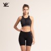 澳洲YPL 蜜桃臀3D健美短裤（均码 中腰 薄款）